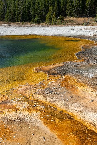 Hopkins, Cindy Miller 아티스트의 USA-Wyoming-Yellowstone National Park-Black Sand Basin-Emerald Pool-Green pool with yellow thermopi작품입니다.